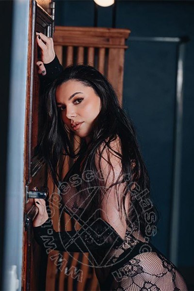 Morellya  MODENA 3384148193