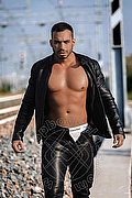 Bologna Boys Harry Dotato 393 25 13 795 foto 4