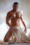 Bologna Boys Harry Dotato 393 25 13 795 foto hot 1