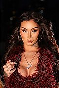 Dubai Trans Lua Fernandes  00306940142428 foto 20