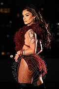 Dubai Trans Lua Fernandes  00306940142428 foto 19