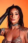 Dubai Trans Lua Fernandes  00306940142428 foto 16