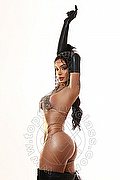 Dubai Trans Lua Fernandes  00306940142428 foto 7