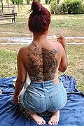 Voghera Escort Kamila Dior 392 45 08 431 foto 5