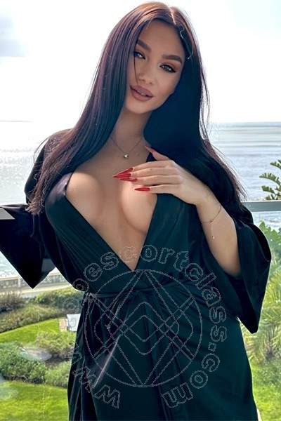 Shirley Model  VERONA 3899865668