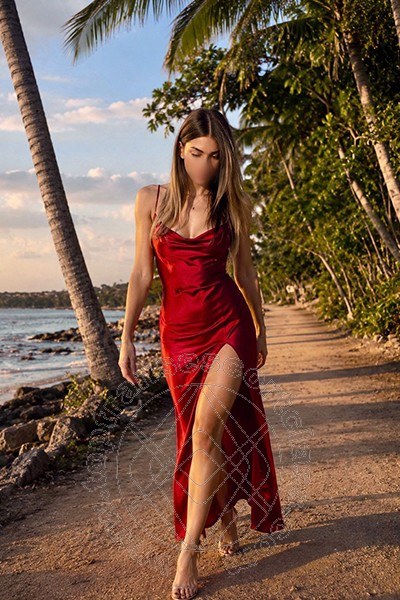 Transex Italiana  BOLOGNA 3427405556