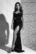 Milano Trans Escort Barbara Kenps 388 65 08 553 foto 28