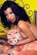 Bari Trans Escort Maya Rodrigues 392 80 08 102 foto 3