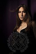 Massa Trans Lady B 340 83 17 576 foto 60