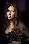 Massa Trans Lady B 340 83 17 576 foto 59
