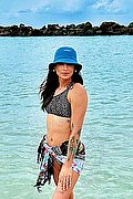 Milano Trav Escort Leticia Blend 327 81 28 533 foto 10