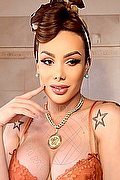 Milano Trans Kalena Rios Pornostar  005511948854581 foto 21