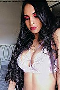 San Paolo Trans Escort Angelina Tx  005511975742246 foto selfie 22