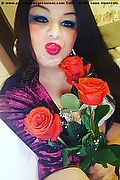 Bratislava Trans Escort Nika  00421944929936 foto selfie 3