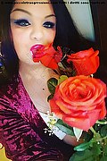 Bratislava Trans Escort Nika  00421944929936 foto selfie 2