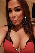 Zwolle Trans Escort Mariel  0031618246320 foto selfie 2