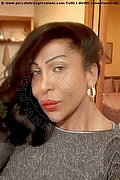 Torino Trans Escort Sandrinha Close 353 32 71 041 foto selfie 4