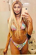 Roma Trans Tiffany Oliveira 371 61 40 791 foto selfie 175