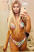 Roma Trans Escort Tiffany Oliveira 371 61 40 791 foto selfie 179