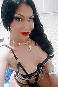 Padova Trans Rosa Xxxl 328 74 36 345 foto selfie 78