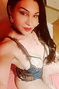 Padova Trans Rosa Xxxl 328 74 36 345 foto selfie 80