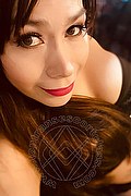 Brindisi Trans Escort Safira Latina 331 10 20 962 foto selfie 11