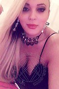 Brescia Trans Escort Livia 320 66 64 144 foto selfie 112