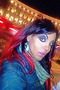 Cosenza Trans Angelica 329 97 11 770 foto selfie 37