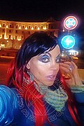 Cosenza Trans Angelica 329 97 11 770 foto selfie 35