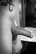 Cinisello Balsamo Trans Escort Jade 389 82 93 343 foto selfie 93