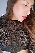 Milano Trans Stefany 333 11 10 156 foto selfie 12