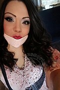 Lucca Trans Escort Kymora 352 00 06 322 foto selfie 11
