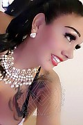 Lavagna Trans Escort Anaconda 23 Motivi 380 86 25 582 foto selfie 2