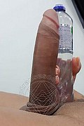 Pordenone Trans Escort Bruna Cavallona 351 23 48 026 foto selfie 44