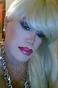 Milano Trans Nicole Vip Venturiny 353 35 38 868 foto selfie 432