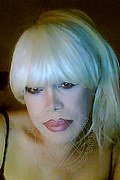 Milano Trans Escort Nicole Vip Venturiny 353 35 38 868 foto selfie 924