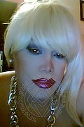Milano Trans Escort Nicole Vip Venturiny 353 35 38 868 foto selfie 919