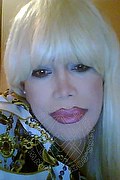 Milano Trans Escort Nicole Vip Venturiny 353 35 38 868 foto selfie 909
