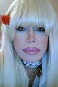 Milano Trans Escort Nicole Vip Venturiny 353 35 38 868 foto selfie 886