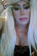 Milano Trans Escort Nicole Vip Venturiny 353 35 38 868 foto selfie 873
