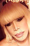Milano Trans Escort Nicole Vip Venturiny 353 35 38 868 foto selfie 841
