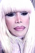 Milano Trans Nicole Vip Venturiny 353 35 38 868 foto selfie 843