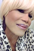 Milano Trans Escort Nicole Vip Venturiny 353 35 38 868 foto selfie 823