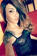 Marcon Trans Divina 345 21 76 121 foto selfie 44