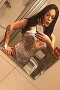 Legnano Trans Escort Nicoly 329 33 58 987 foto selfie 42