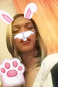 Campobasso Trav Escort Mamba Nera 320 90 36 621 foto selfie 1