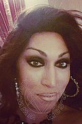 Massa Trans Lady B 340 83 17 576 foto selfie 46