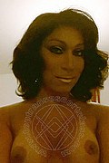 Parma Trans Escort Lady B 340 83 17 576 foto selfie 39