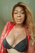 Mariano Comense Trans Escort Ameliana 334 70 12 101 foto selfie 3