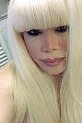Milano Trans Nicole Vip Venturiny 353 35 38 868 foto selfie 820